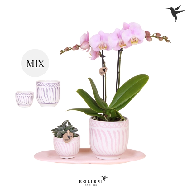 <h4>Kolibri Gift Set small Granada</h4>