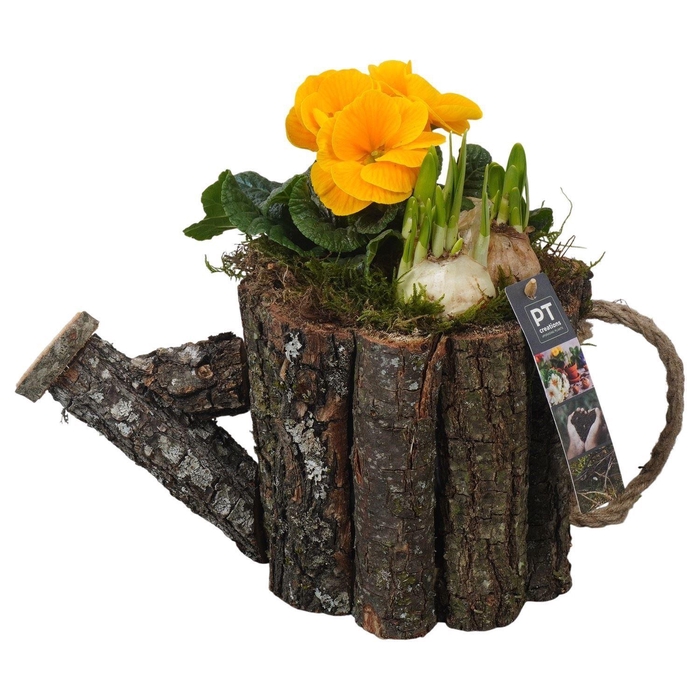 <h4>Arr.   Tuinplanten L%</h4>