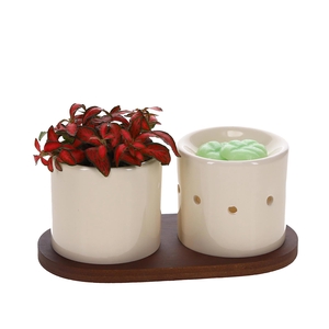 Fusion Scents keramiek Gift set plankje met Fittonia
