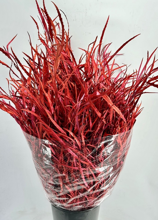 <h4>DEC Grevillea Painted Red Metal</h4>