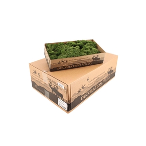 Reindeer Moss Moss Green