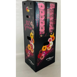 GE MI TALENT Aquabox *160