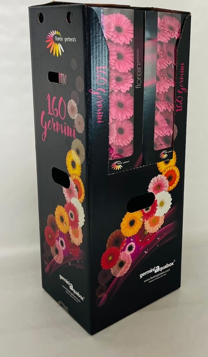 <h4>GE MI TALENT Aquabox *160</h4>