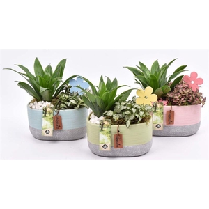 Keramiek ovaal kl.mix 18x10cm