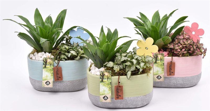 <h4>Keramiek ovaal kl.mix 18x10cm</h4>