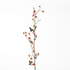 AF Rosehip Zaffiro Sp L109cm O