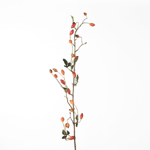 Af Rosehip Zaffiro Sp L109cm O