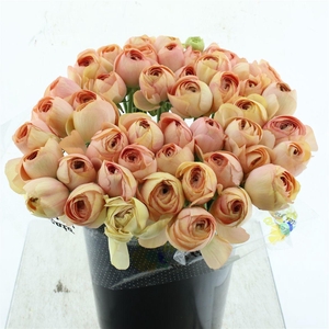 Ran Su Sr Grand Pastel Peach Super