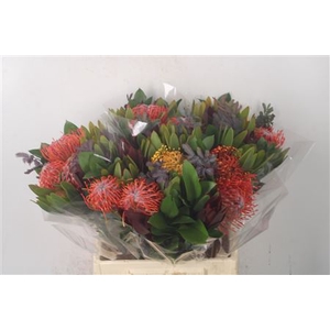 Tropic Bqt Island #2 Per Bunch