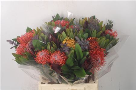 <h4>Tropic Bqt Island #2 Per Bunch</h4>