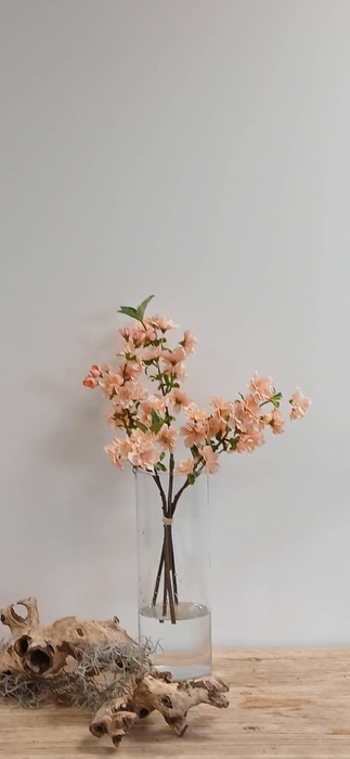 <h4>CHERRY BLOSSOM BUNDLE PEACH BK77000 L40</h4>