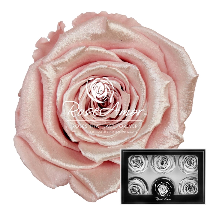 Lplus Satin Strawberry Pin04