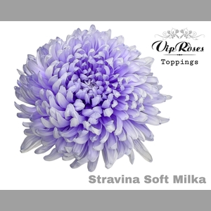 CHR G STRAVINA SOFT MILKA