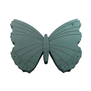 Oasis Butterfly Foam Frames 58x44cm