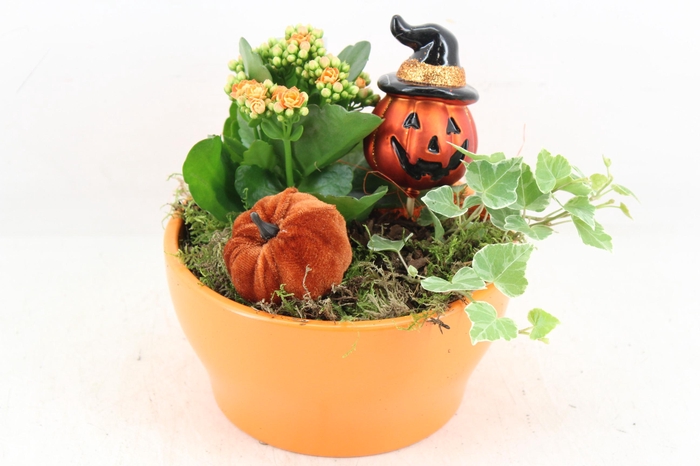 <h4>arr2 JS - Ker. bowl orange x4</h4>