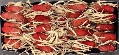 <h4>DROOG BANKSIA PRIONO</h4>