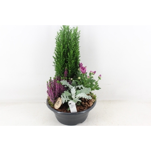 arr4 Outdoor PL - Coupe 23cm
