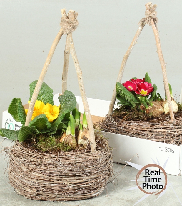 <h4>ARR TUINPLANTEN</h4>