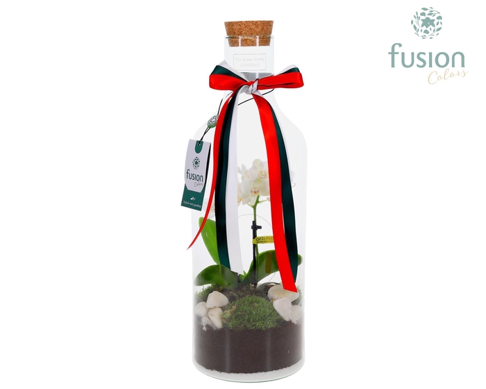 <h4>Green Bottle Fles Medium met Phalaenopsis</h4>