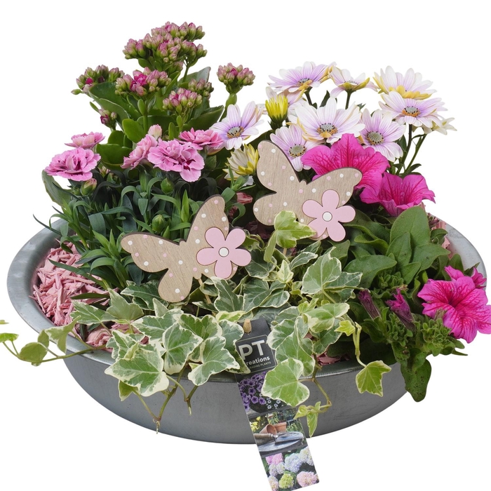 <h4>PTPP6863 Arrangement Patio in metalen schaal</h4>