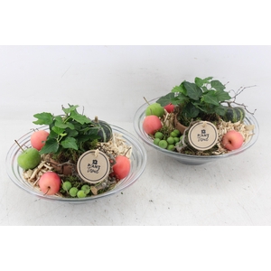 arr2 PL - Glas schaal sierfruit 23cm