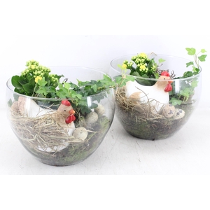 arr2 MB - Glas coupe hoog 335/2 - geel