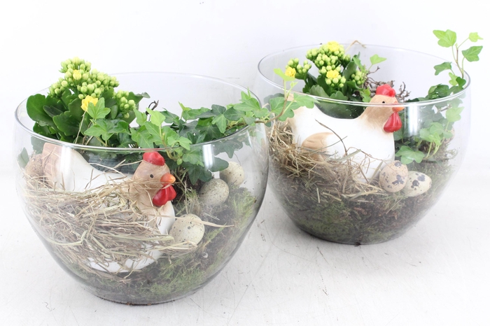 <h4>arr2 MB - Glas coupe hoog 335/2 - geel</h4>