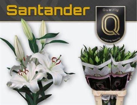 <h4>Li Or Santander</h4>