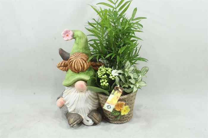 <h4>arr2 JS KER GREEN IND KABOUTER</h4>