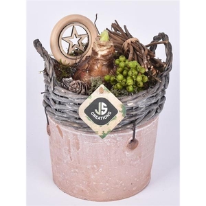 Wilg rand met terra pot 16cm