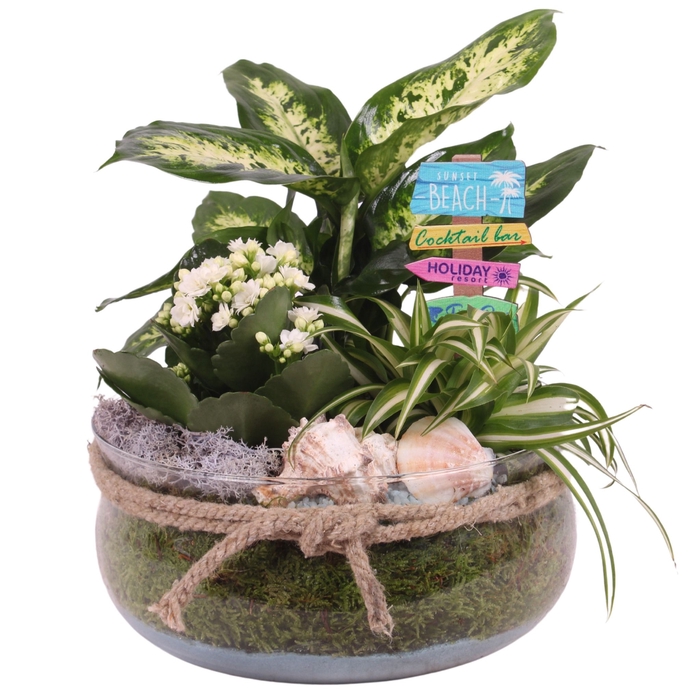 <h4>Opm Maritime Arr. Indoor Glass Bowl With Rope</h4>