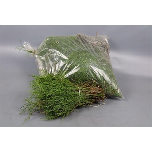 - HEIDELBEER/VACCINIUM IN SACK