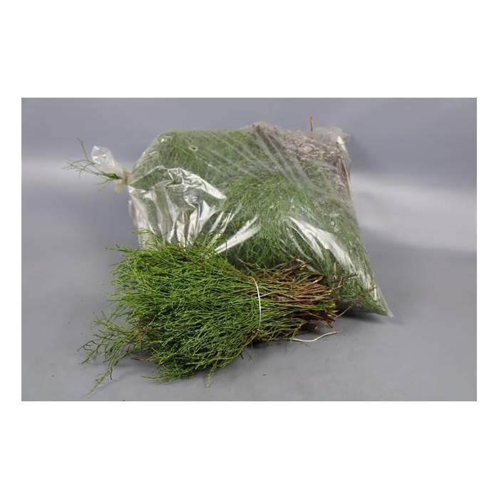 <h4>- HEIDELBEER/VACCINIUM IN SACK</h4>