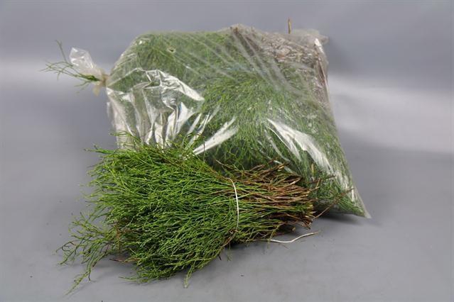 <h4>- HEIDELBEER/VACCINIUM IN SACK</h4>