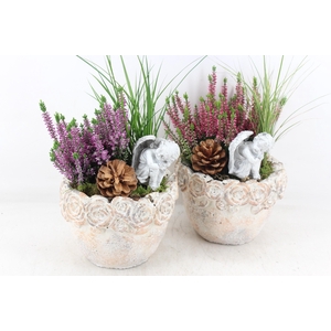 arr4 Outdoor JS - Cement rozen rand schaal x3