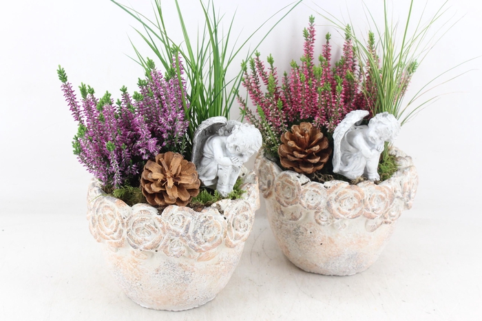 <h4>arr4 Outdoor JS - Cement rozen rand schaal x3</h4>