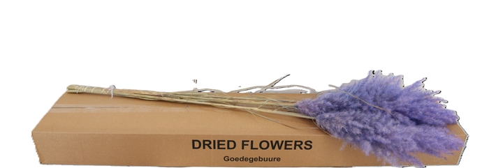 <h4>DROOGBL BEWERKT H%</h4>