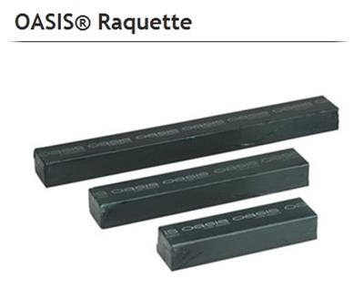 <h4>OASIS 11-03043 RAQUETTE 66 CM P.DS</h4>