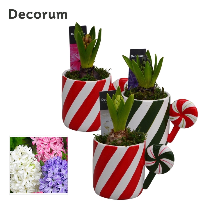 <h4>Hyacint Mug Christmas Candy HL15852 [LOVELY COLORS]</h4>