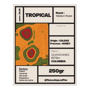 Roasted Coffee Tropical Castillo Honey