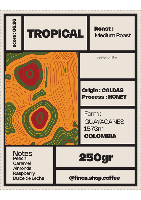 <h4>Roasted Coffee Tropical Castillo Honey</h4>