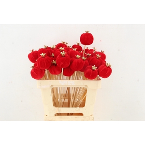 Stick Pomegranate V.6cm Red