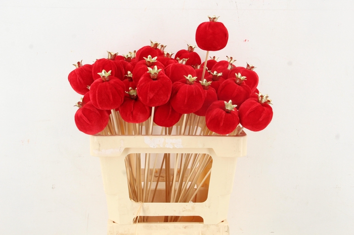 <h4>Stick Pomegranate V.6cm Red</h4>