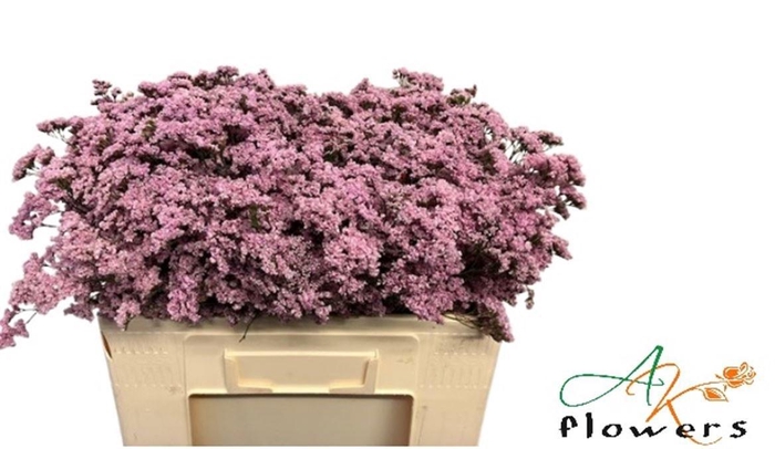 <h4>LIM SAF OSHI PINK</h4>