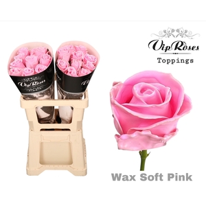 R GR WAX SOFT PINK (60CM)