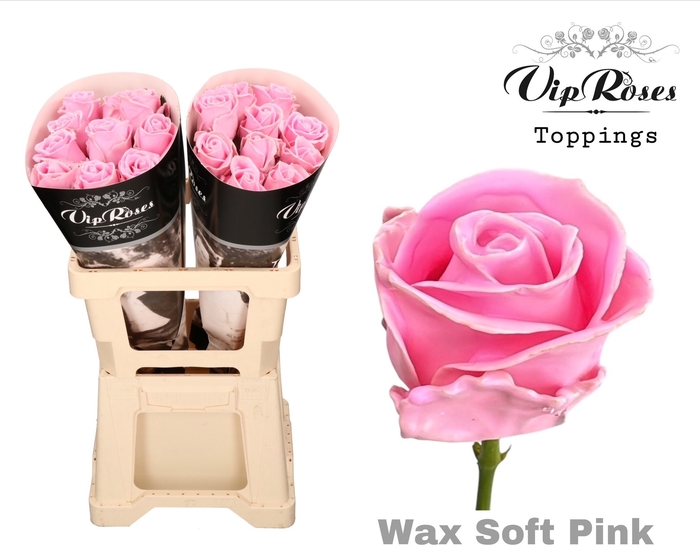 <h4>R GR WAX SOFT PINK (60CM)</h4>