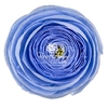Ranunculus Vio89