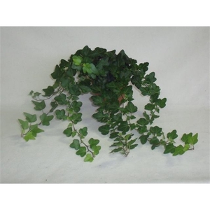 Mini Wonder 13cm