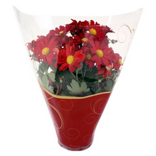 <h4>Hoes 34x36x14cm CPP40 + LG Curly plant rood/goud 3000/doos</h4>