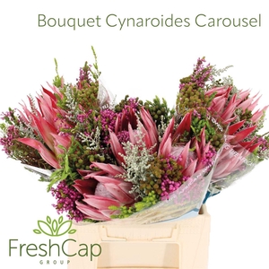 Bouquet Cynaroides Carousel